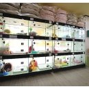 The 쇼독 이미지