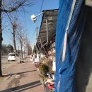 이동꽃마을 이미지