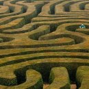 미로정원 이미지