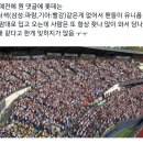 부일파크 | [야구] 창원야호~! (창원NC파크 롯데전 208구역 2열 후기)