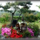 복돌이네 이미지