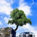 안락2동-3 이미지