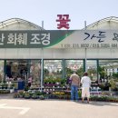 오산화훼조경 이미지