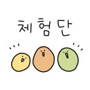 진리레슨 이미지