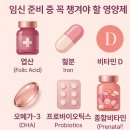 임신 준비 일기 - 필수 내돈내산 먹은 영양제 엽산 오메가3 비타민d 추천