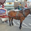 태전도서관 이미지