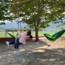 변산초등학교 Daum카페