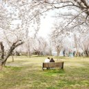 진주미소약국 이미지