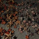 농소민박 이미지