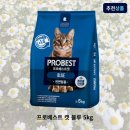 베스트 쇼핑하우