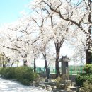 월산초등학교 이미지