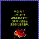 12월2일 화요일 서울방 출석부 이미지