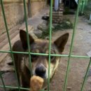 지에스(GS)25강화한옥 이미지