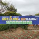 중앙동 공영주차장 이미지