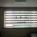 지족초등학교 이미지