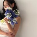살롱앤모어