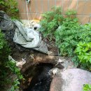 선비마을세탁소 이미지