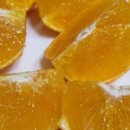 창원농장 이미지