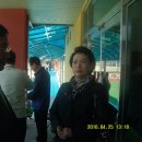 서상초등학교 Daum카페