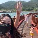 캐치홀릭 이미지