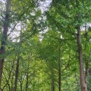 백두대간목재문화체험관 이미지