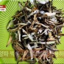 아이생각어린이집 이미지