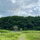 남한강낚시 | 충주 가볼만한 곳 비내섬 여름 방문후기 주차 애견동반 남한강 산책길