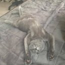 제니성형외과의원 이미지