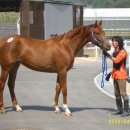 기라성목장 이미지