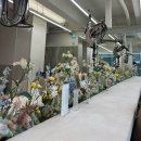 모쉬 강남점 다혜 원장님만 약 5년째 쫓아다니는 내돈내산 후기