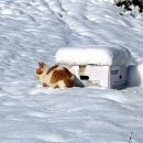 선애농장 이미지