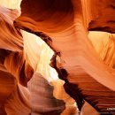 세인목장 이미지