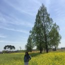 황룡친수공원 이미지