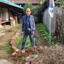 시티이용소 이미지