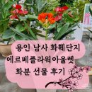 남사-20 | 용인 남사화훼단지 에르베 플라워 아울렛 예비시부모님 화분선물 후기
