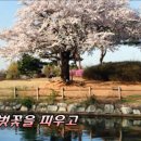 달빛섬 이미지
