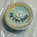 놀면멍하냥 | 반려견 반려묘 생일 쌀시트 치킨시트 고를 수 있는 청주 강아지수제케이크 수제간식 놀면멍하냥 후기
