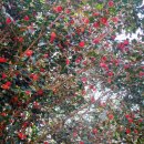 한재공원 이미지