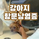 커비동물병원 이미지