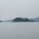 폴장도 Daum카페