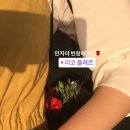 리코플레르