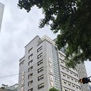 초등학생 아이랑 동대문 뉴뉴 쇼핑 후기 / 주차 정보까지