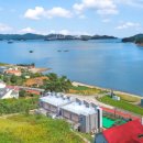 더봄애견 이미지