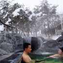 워터피아 이미지