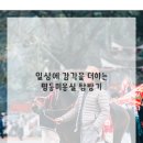 명동미용실 네이버블로그