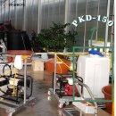 성일약품 이미지