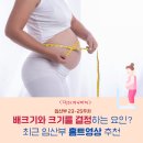 닥터수육(Dr.SUYUK) | [의사 예비맘’s diary] 23,24,25주차 배크기, 몸무게 그리고 배크기를 결정하는 요인은? 최근 보는...