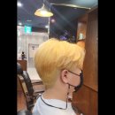 단우미용실 네이버블로그