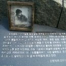 남서울 공원묘지 이미지