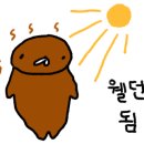 카페333 - 공주시 상하신길 463 | 카페333